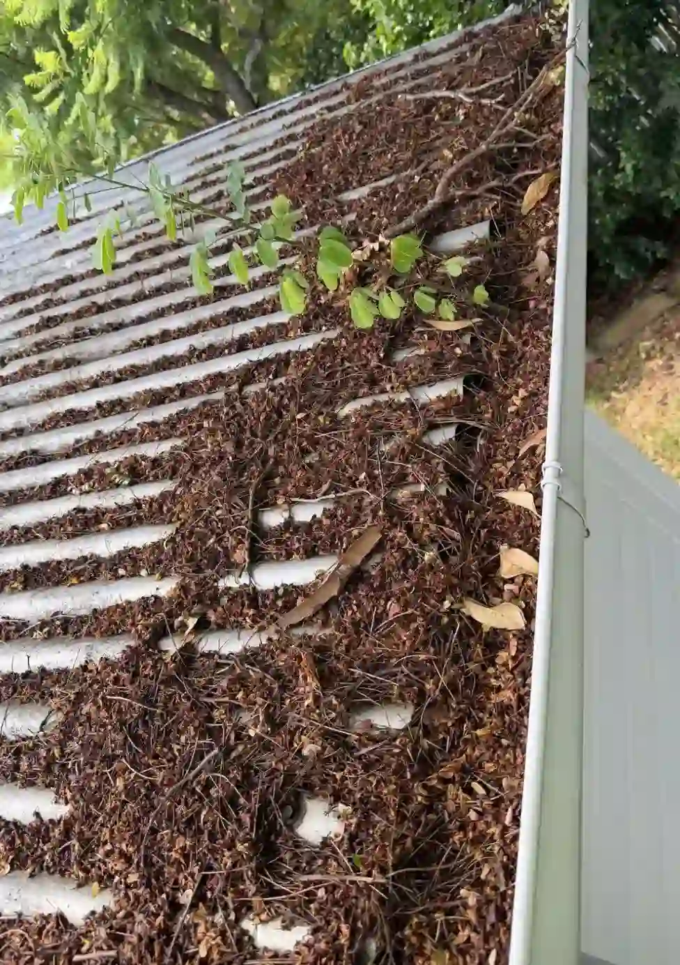 Before gutter cleaning - Blocked gutter line cleared on a Brisbane home
